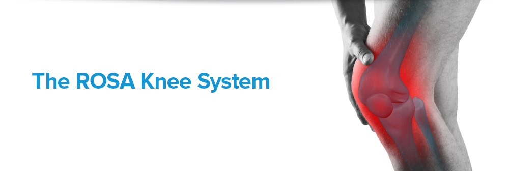 ROSA knee system